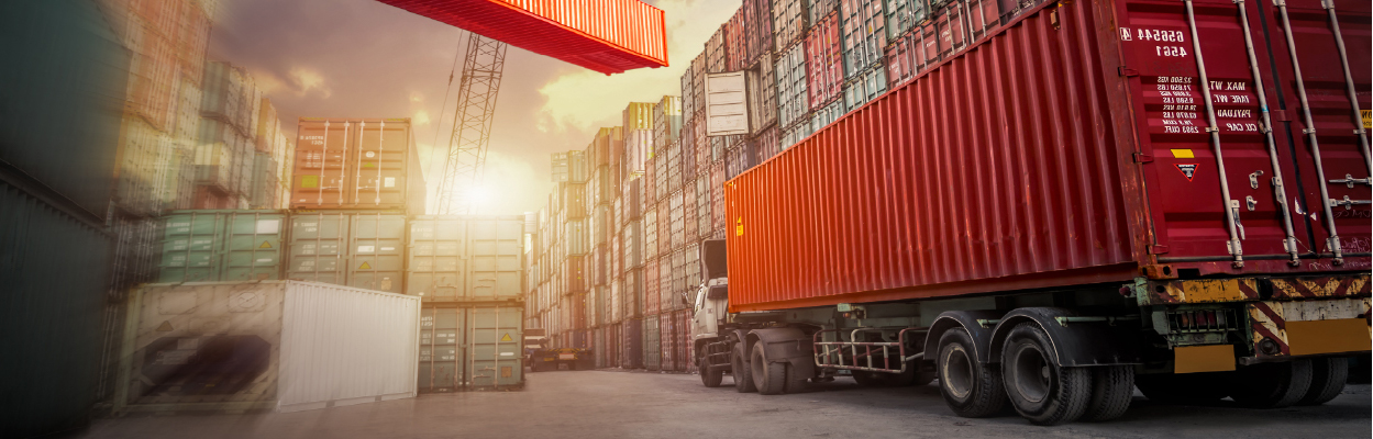 Import Services