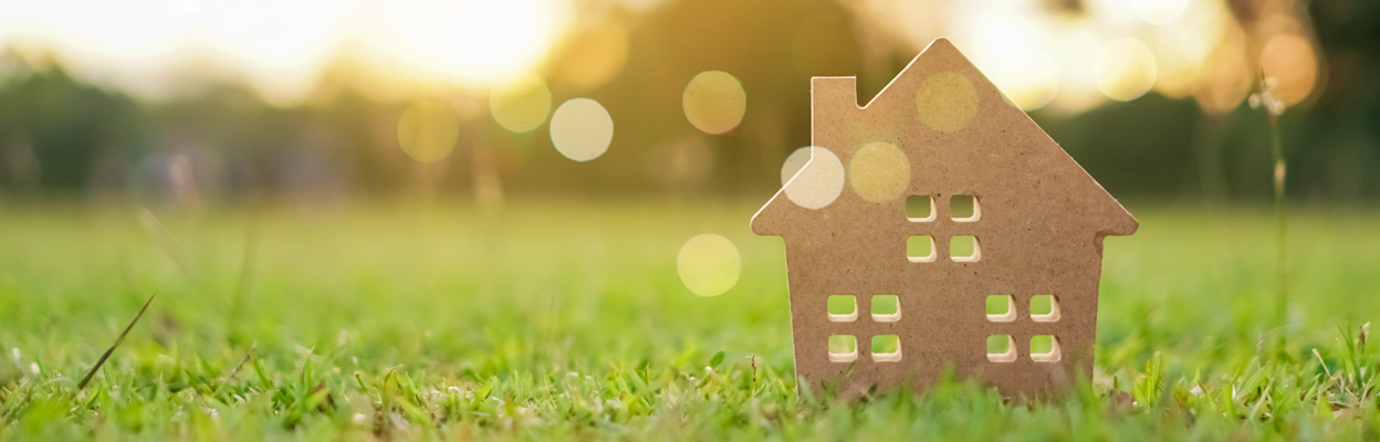 land-purchase