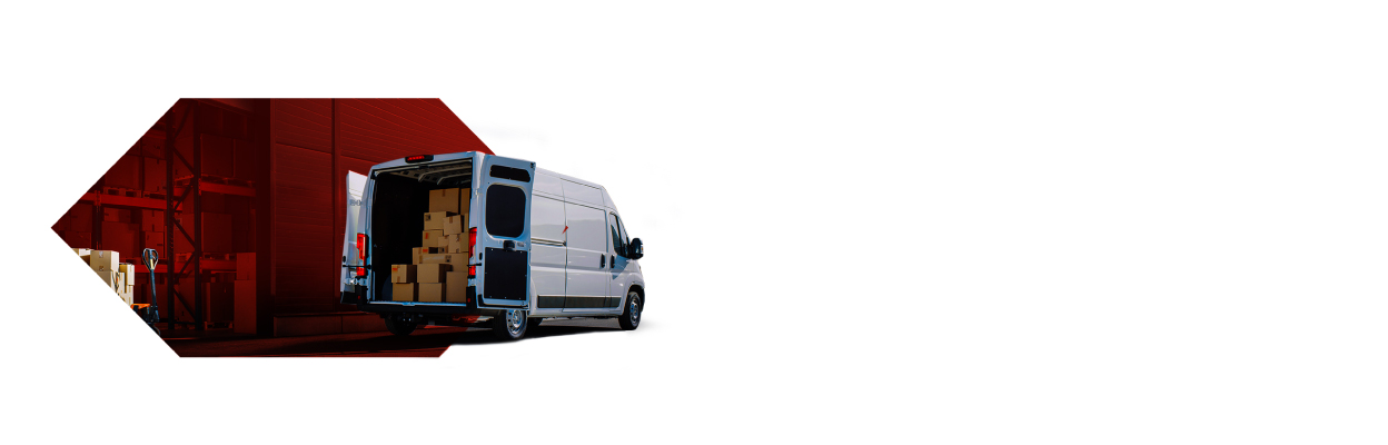 sab-storge-van